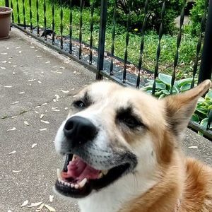 Meet your Posher, Jami